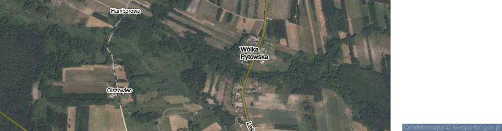Zdjęcie satelitarne Wólka Pytowska ul.